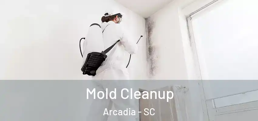 Mold Cleanup Arcadia - SC