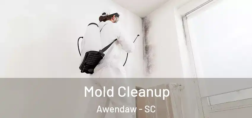  Mold Cleanup Awendaw - SC