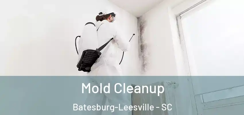  Mold Cleanup Batesburg-Leesville - SC