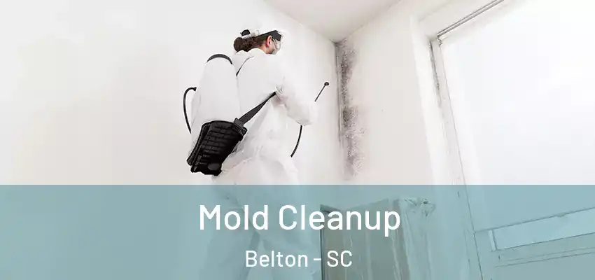 Mold Cleanup Belton - SC