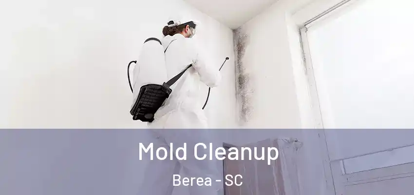 Mold Cleanup Berea - SC
