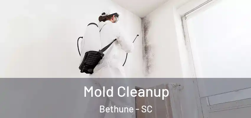 Mold Cleanup Bethune - SC