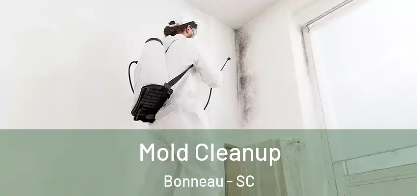 Mold Cleanup Bonneau - SC