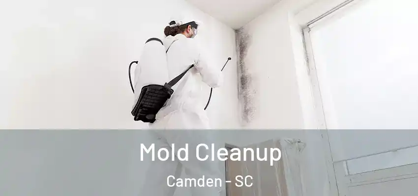 Mold Cleanup Camden - SC