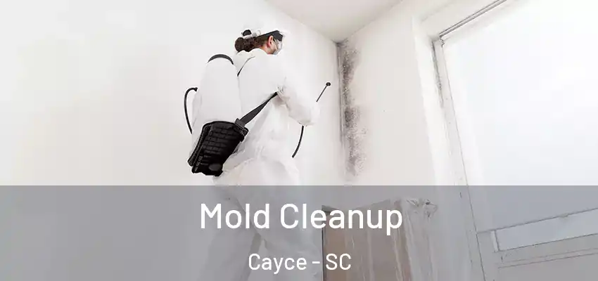 Mold Cleanup Cayce - SC