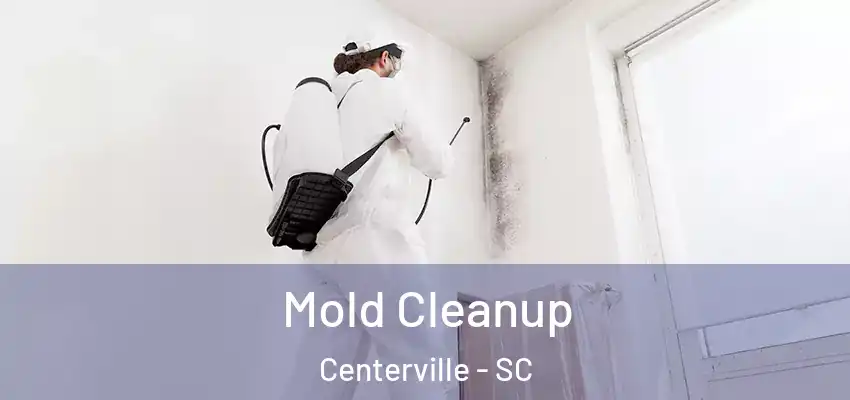 Mold Cleanup Centerville - SC