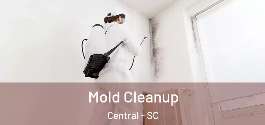 Mold Cleanup Central - SC