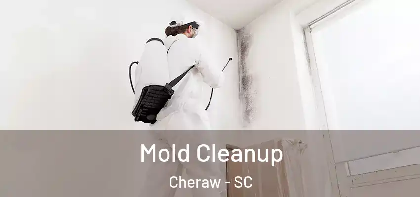  Mold Cleanup Cheraw - SC