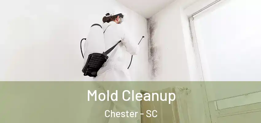 Mold Cleanup Chester - SC