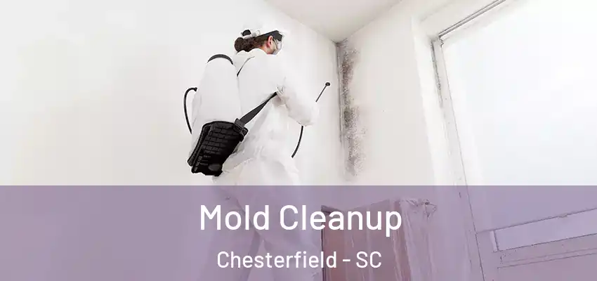  Mold Cleanup Chesterfield - SC