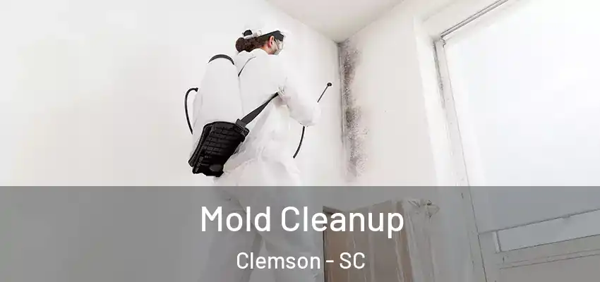  Mold Cleanup Clemson - SC