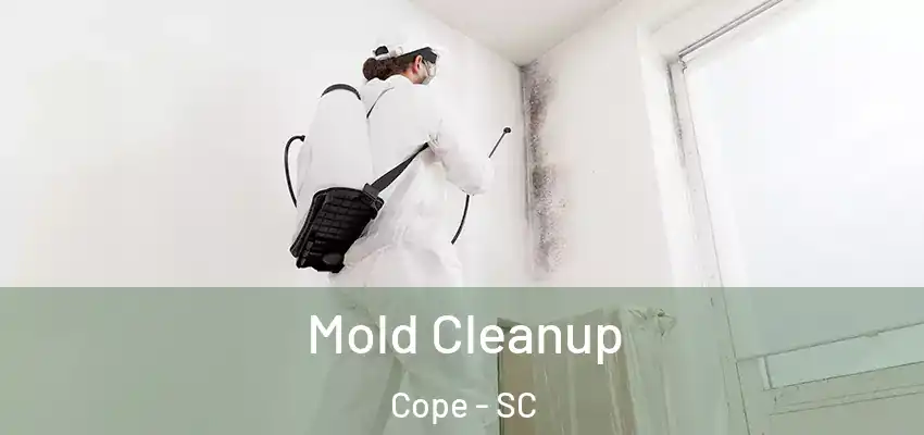 Mold Cleanup Cope - SC