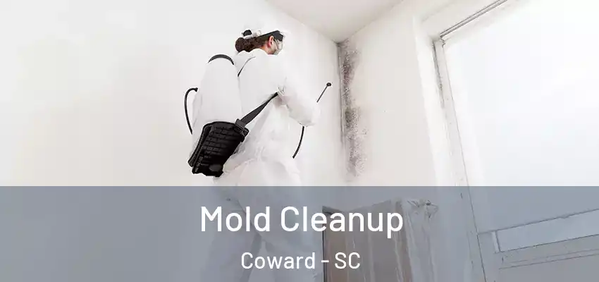  Mold Cleanup Coward - SC