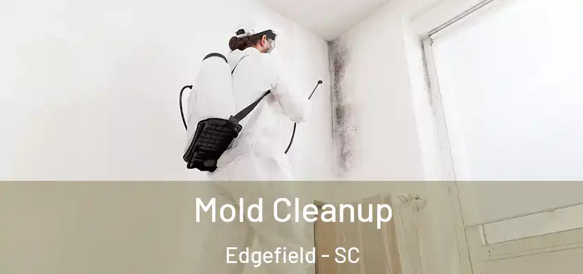  Mold Cleanup Edgefield - SC
