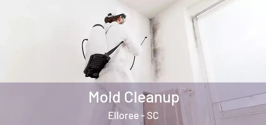  Mold Cleanup Elloree - SC