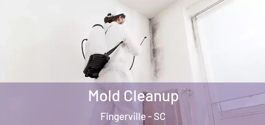  Mold Cleanup Fingerville - SC