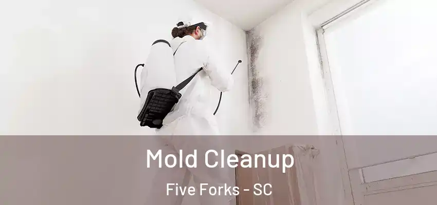  Mold Cleanup Five Forks - SC