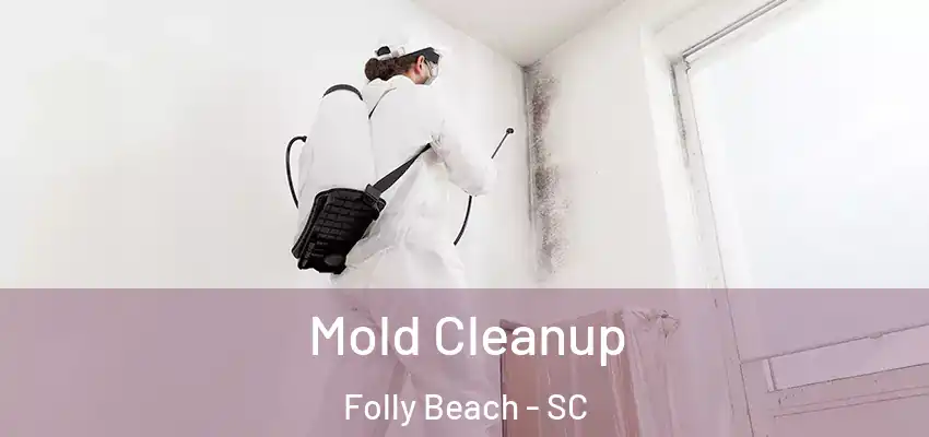  Mold Cleanup Folly Beach - SC