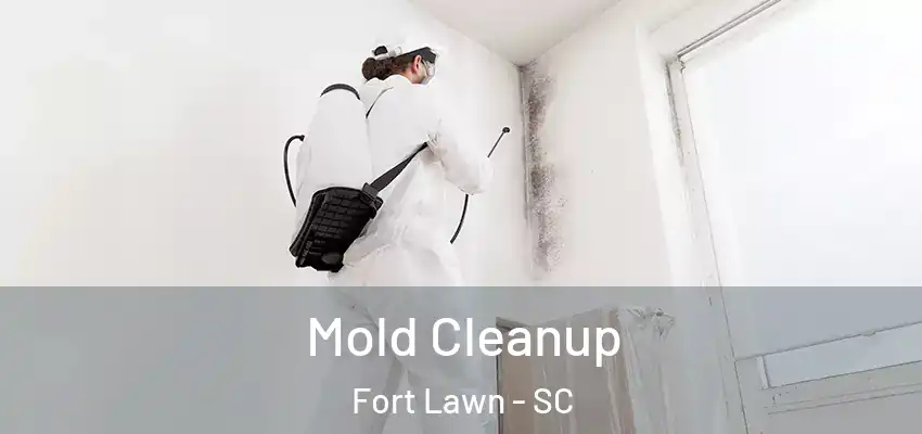  Mold Cleanup Fort Lawn - SC