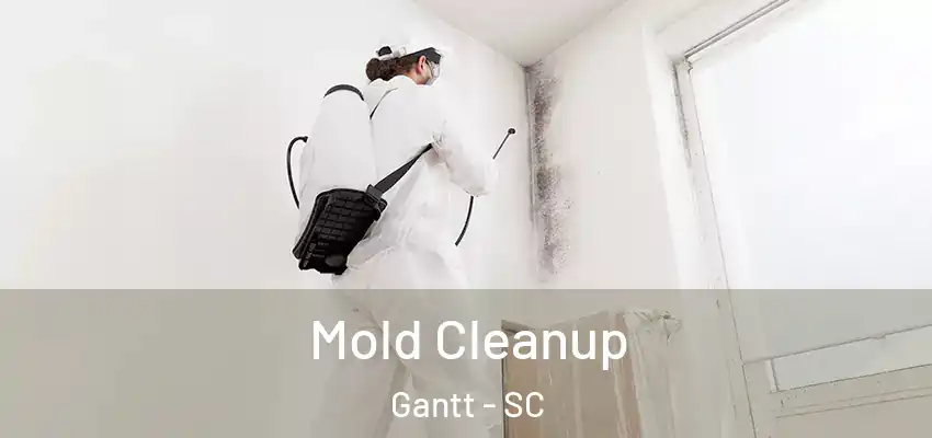 Mold Cleanup Gantt - SC