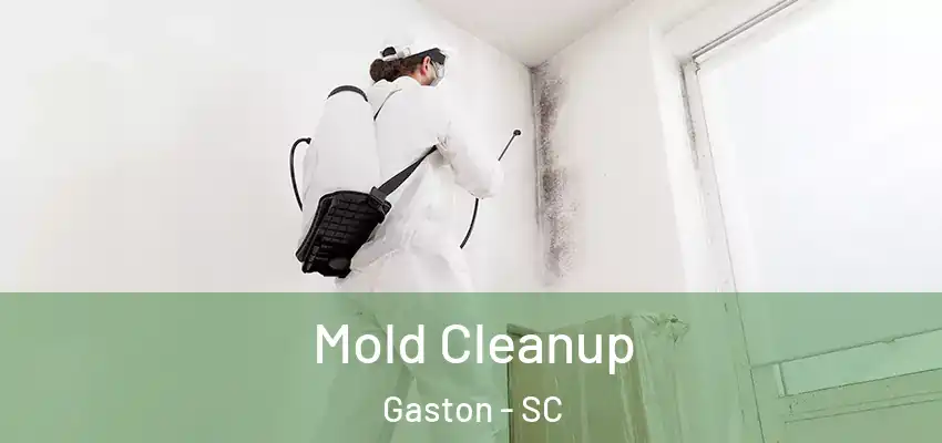 Mold Cleanup Gaston - SC