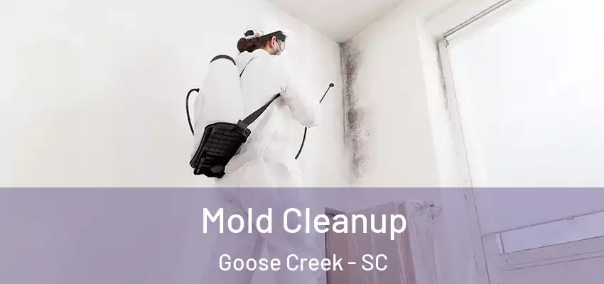  Mold Cleanup Goose Creek - SC