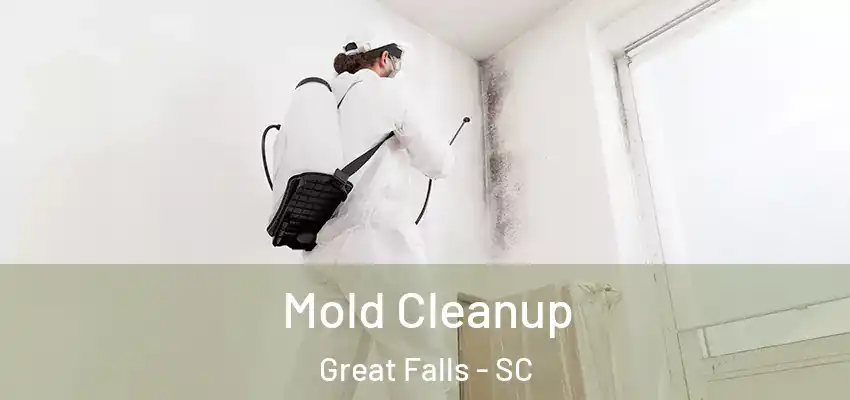 Mold Cleanup Great Falls - SC