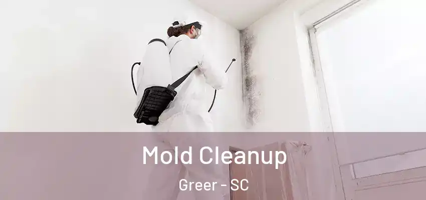 Mold Cleanup Greer - SC