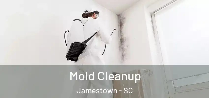 Mold Cleanup Jamestown - SC