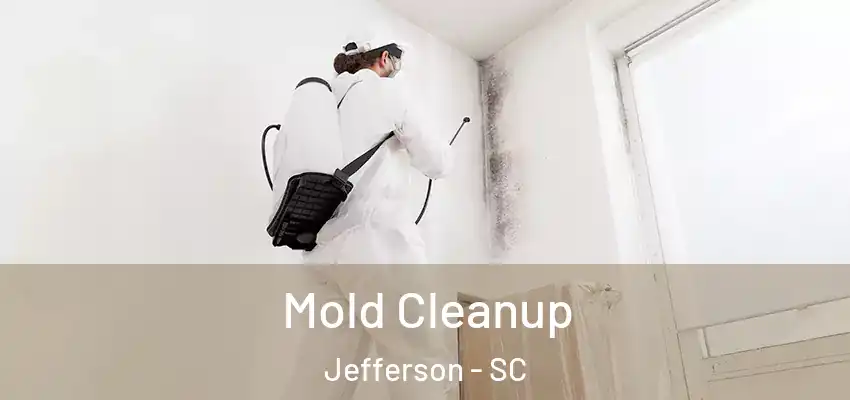  Mold Cleanup Jefferson - SC