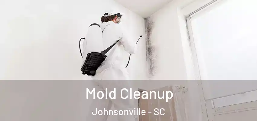 Mold Cleanup Johnsonville - SC