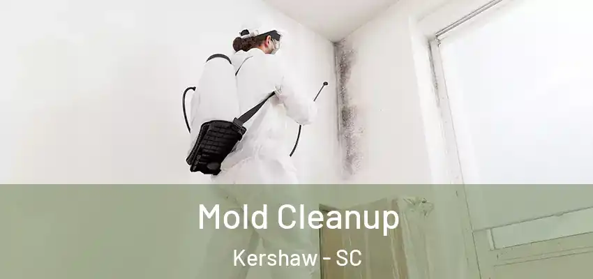  Mold Cleanup Kershaw - SC