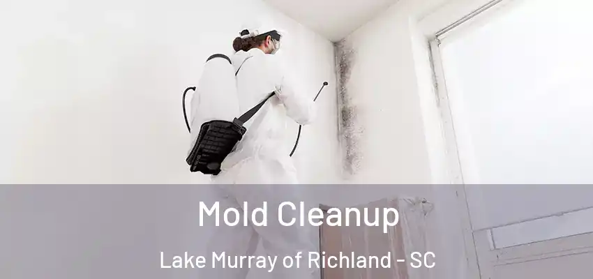 Mold Cleanup Lake Murray of Richland - SC
