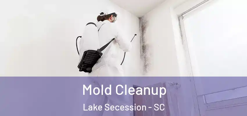 Mold Cleanup Lake Secession - SC
