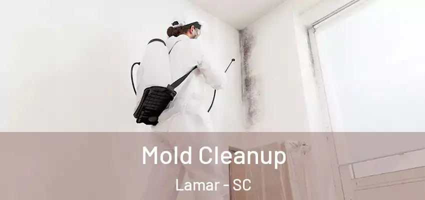 Mold Cleanup Lamar - SC