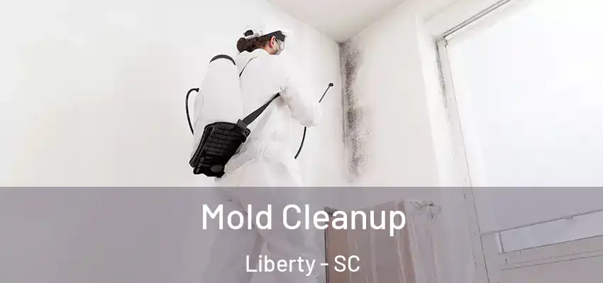 Mold Cleanup Liberty - SC