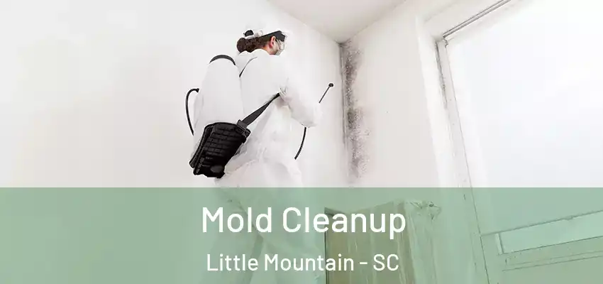  Mold Cleanup Little Mountain - SC