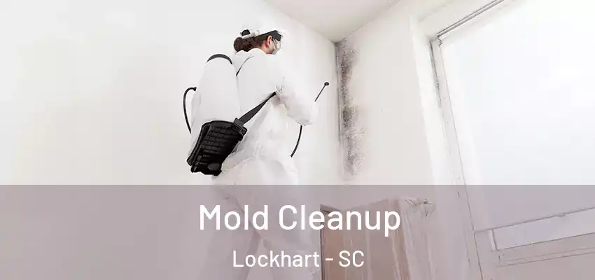 Mold Cleanup Lockhart - SC