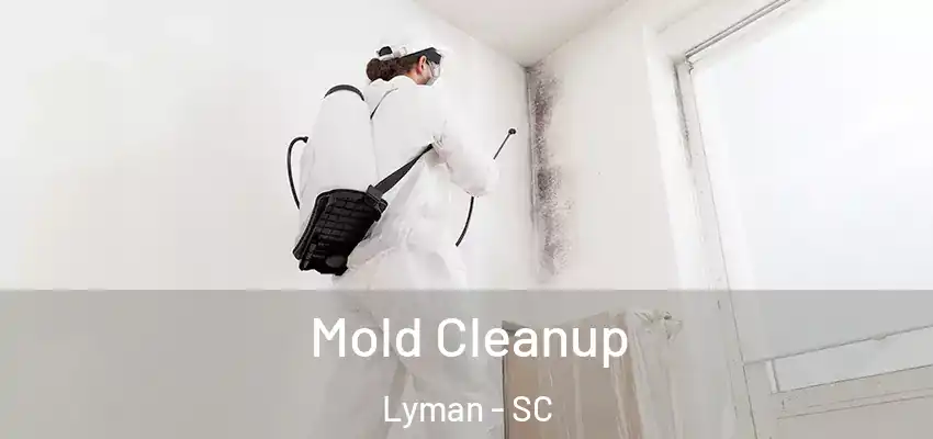  Mold Cleanup Lyman - SC