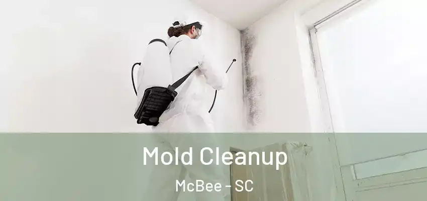  Mold Cleanup McBee - SC