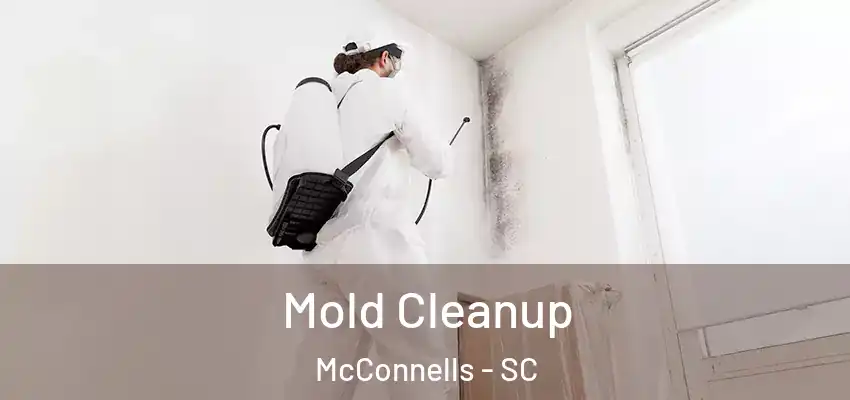 Mold Cleanup McConnells - SC