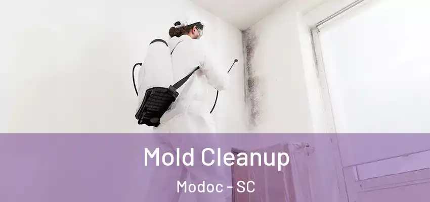  Mold Cleanup Modoc - SC