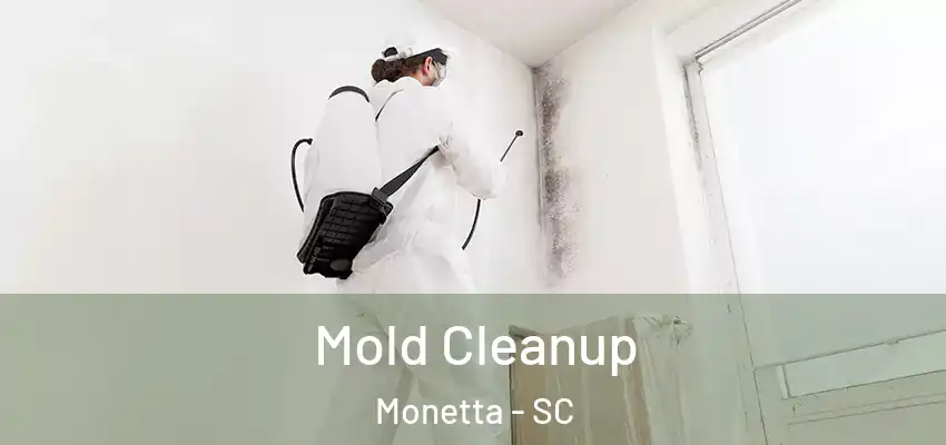  Mold Cleanup Monetta - SC