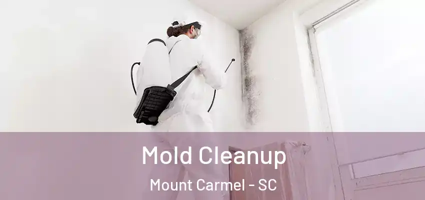 Mold Cleanup Mount Carmel - SC