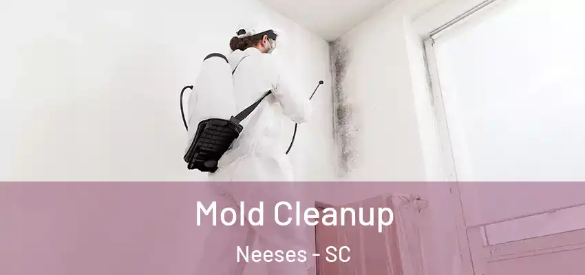 Mold Cleanup Neeses - SC