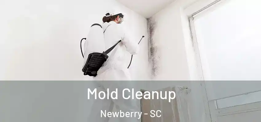 Mold Cleanup Newberry - SC