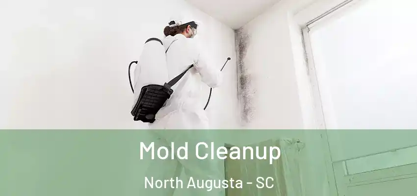 Mold Cleanup North Augusta - SC