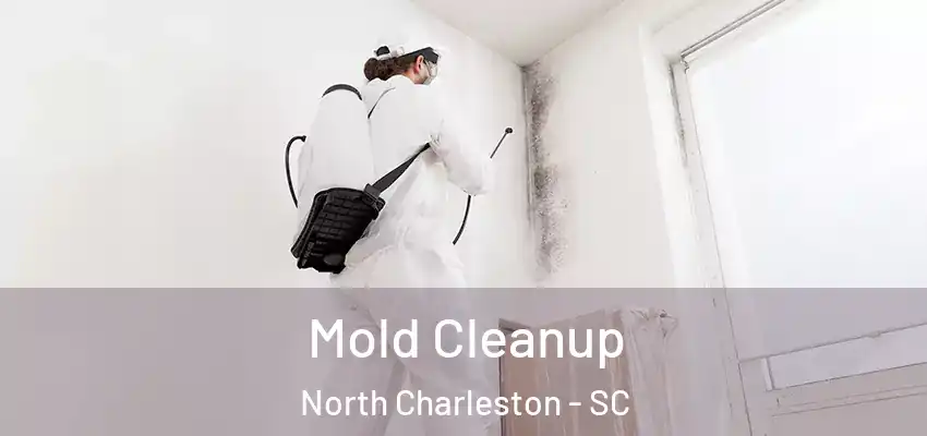 Mold Cleanup North Charleston - SC