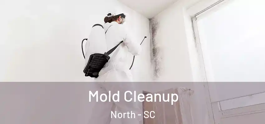  Mold Cleanup North - SC