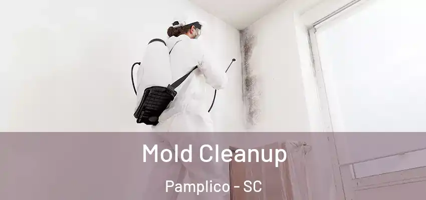 Mold Cleanup Pamplico - SC